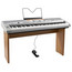 Gear4Music SP5500