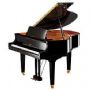 Yamaha A1LS Silent