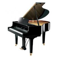 Yamaha CGP1000 Yamaha CGP1000