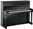 Yamaha P116NT